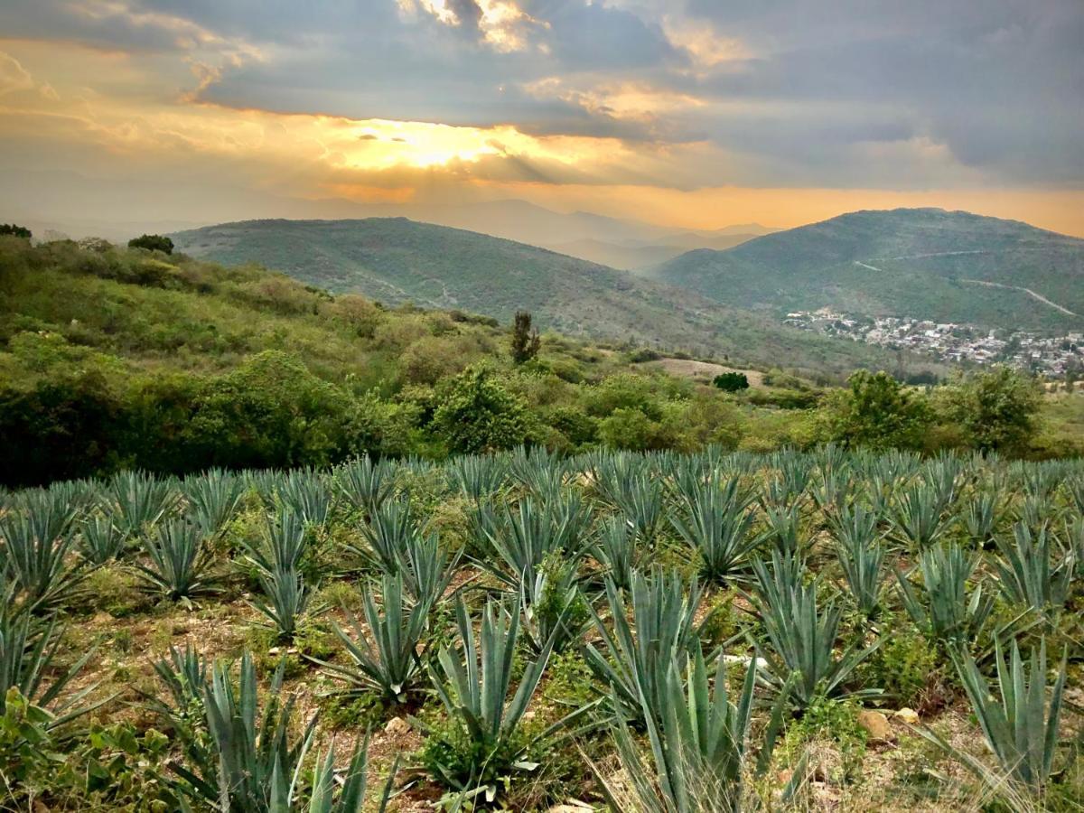 Beautiful Apartment In Oaxaca City'S Best Location Luaran gambar