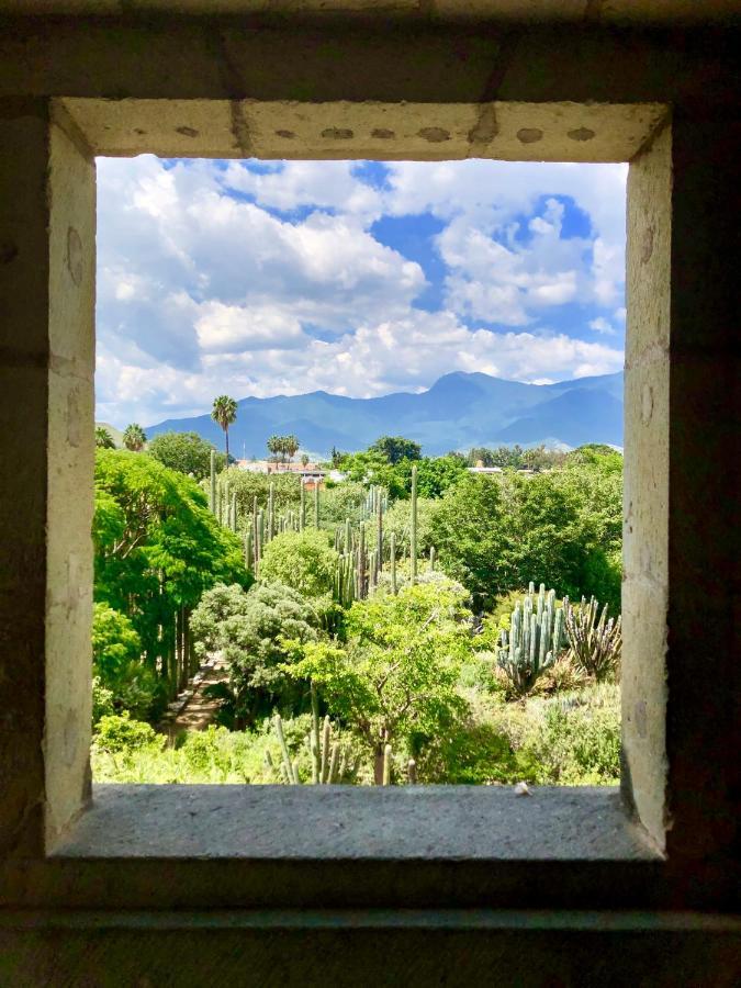 Beautiful Apartment In Oaxaca City'S Best Location Luaran gambar